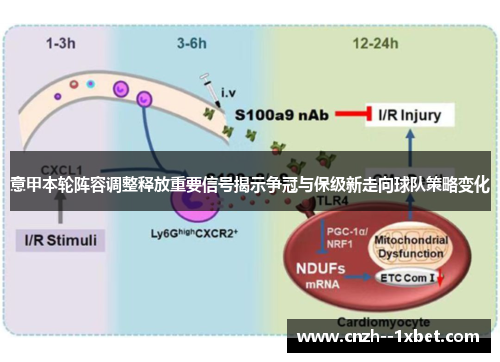 意甲本轮阵容调整释放重要信号揭示争冠与保级新走向球队策略变化