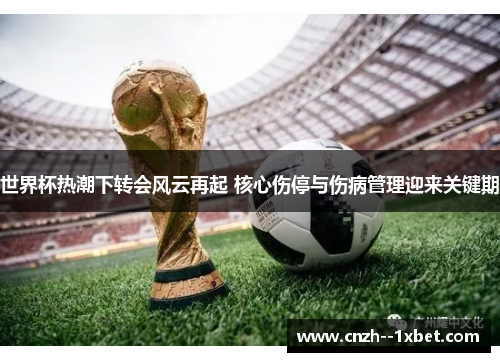 世界杯热潮下转会风云再起 核心伤停与伤病管理迎来关键期 世界杯热潮下转会风云再起 核心伤停与伤病管理迎来关键期
