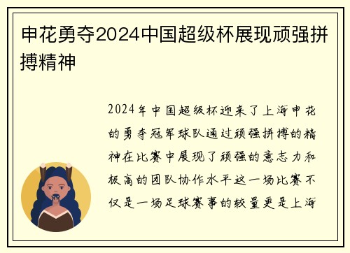 申花勇夺2024中国超级杯展现顽强拼搏精神