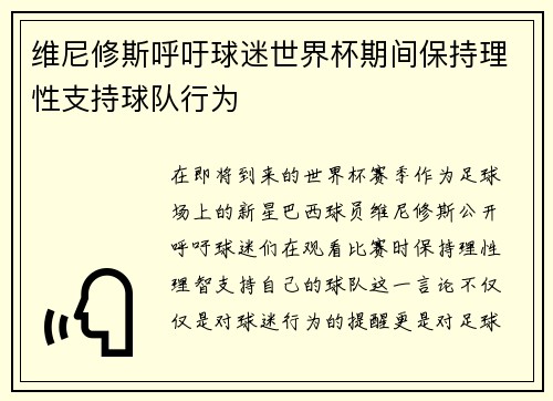 维尼修斯呼吁球迷世界杯期间保持理性支持球队行为